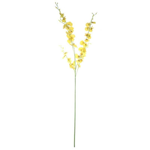 Dancing Orchid Yellow Dancing Orchid Yellow