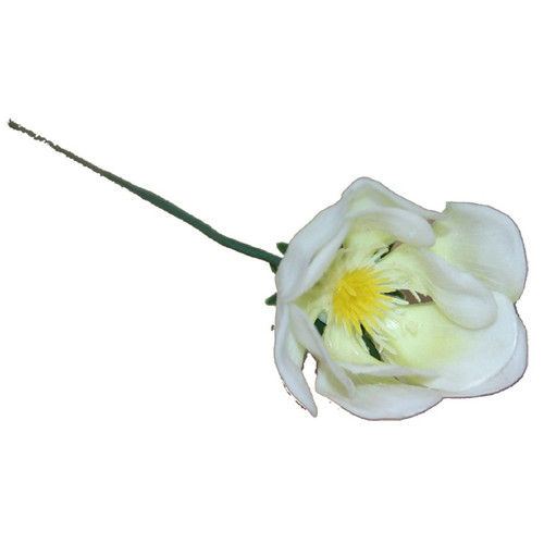 White Hellebores Pick (x100) White Hellebores Pick (x100)