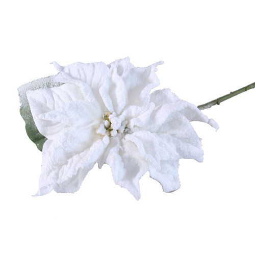 70cm Single Poinsettia White 70cm Single Poinsettia White