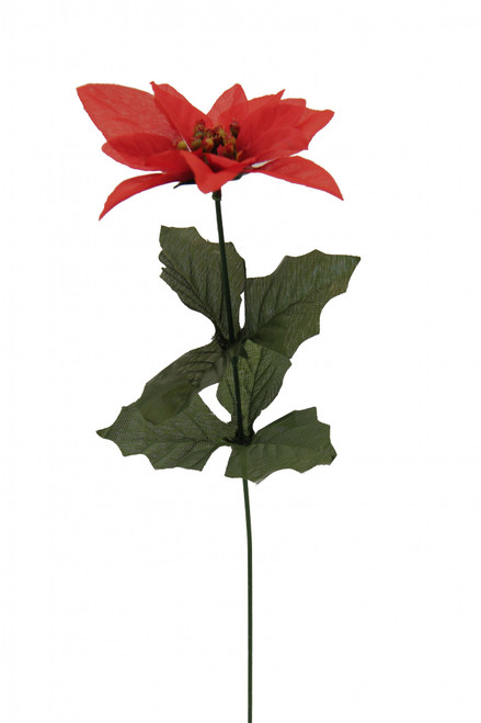 Single Red Poinsettia (x12) Single Red Poinsettia (x12)