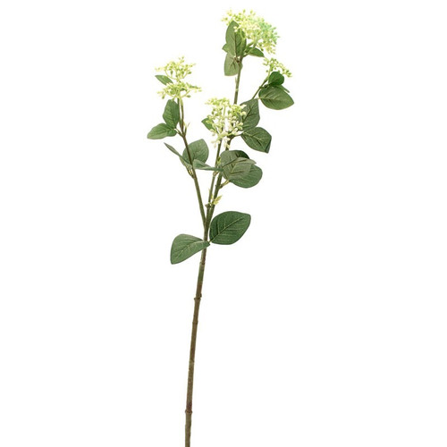 Viburnum Tinus Spray Green & White Viburnum Tinus Spray Green & White