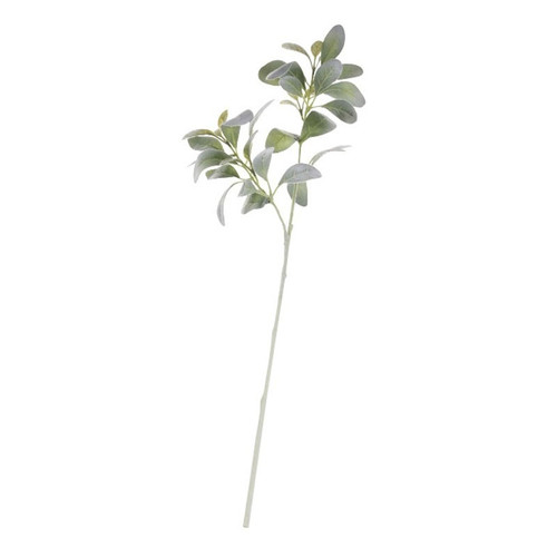 70cm Lambs Ear Green 70cm Lambs Ear Green