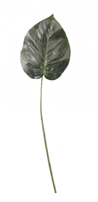 Green Hosta Single Leaf 23 inch Green Hosta Single Leaf 23 inch