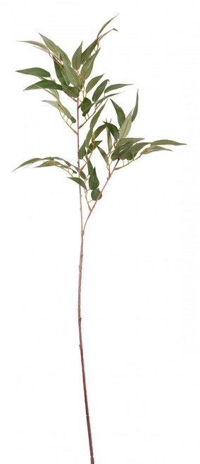 Ficus Benjamen Spray 25 inch Ficus Benjamen Spray 25 inch