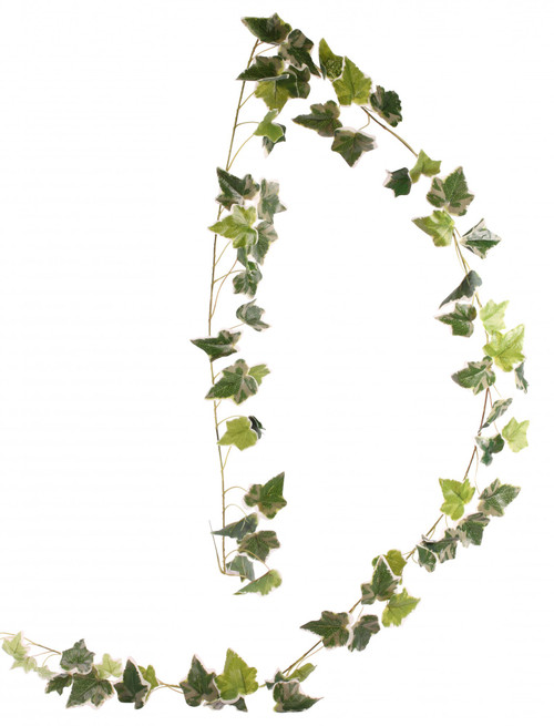 English Ivy Garland Green Variegated 1.8M English Ivy Garland Green Variegated 1.8M