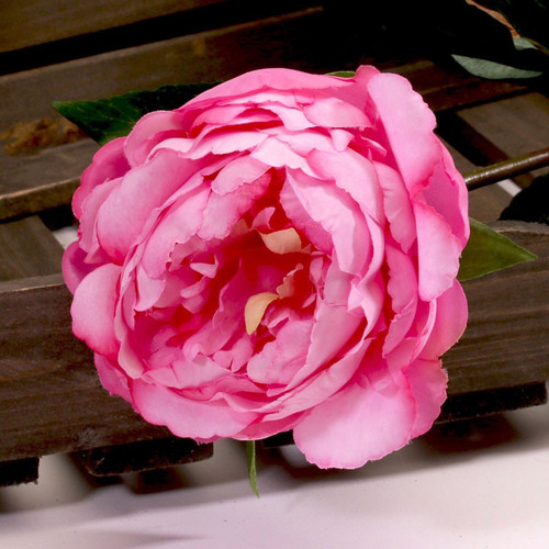Single Peony Dark Pink 68cm Single Peony Dark Pink 68cm