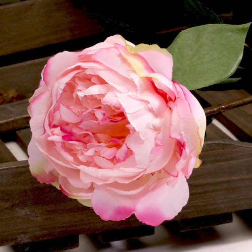 Single Peony Soft Pink 68cm Single Peony Soft Pink 68cm