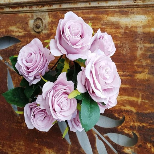 Antique Rose Bush Lilac 