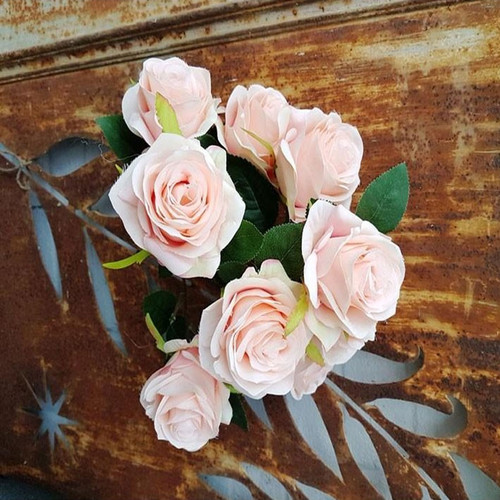 Antique Rose Bush Peach Antique Rose Bush Peach