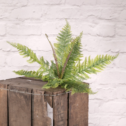 Plastic Boston Fern Bush Plastic Boston Fern Bush