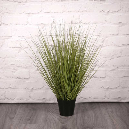 Festuca Grass Potted (60cm) Festuca Grass Potted (60cm)
