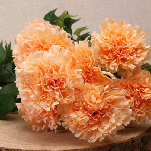 Carnation Bush Peach Carnation Bush Peach