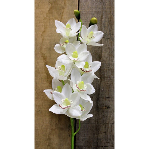 White Real Touch Cymbidium Spray 36 inch White Real Touch Cymbidium Spray 36 inch