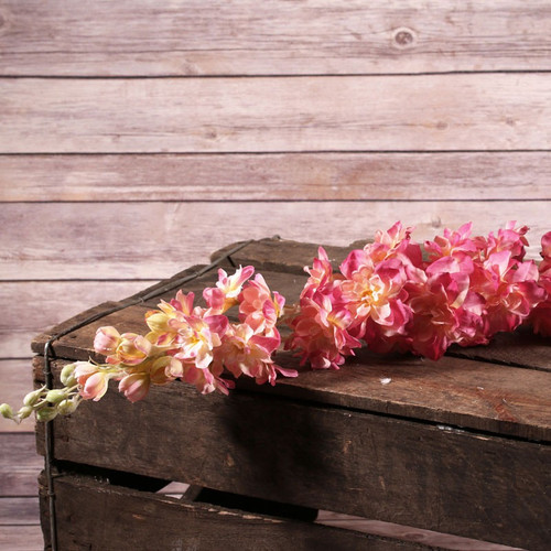 Delphinium Pink 102cm Delphinium Pink 102cm