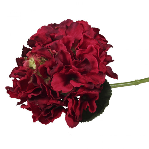 Deep Red Short Stem Hydrangea Deep Red Short Stem Hydrangea