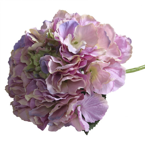 Blush Lavender Short Stem Hydrangea Blush Lavender Short Stem Hydrangea
