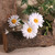 Cottage Garden Daisy Spray