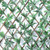 Exterior UV Resistant Expandable Choisya Trellis 