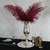 Bordeaux Ostrich Feathers (5 Pack)