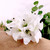 White Lily Bouquet With 6 Heads