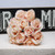 Pink Blush Blenheim Bridal Bouquet (12 heads)