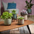 Bari Ceramic Pot Grey-Beige (W19 x H17cm)
