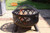 Gardeco Tara Fire Bowl