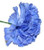 Royal Blue Carnations (12 Stems)