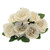 Eden Rose Bunch Cream 