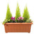 Stewart 70cm Corinthian Trough  - Terracotta