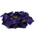 Deep Purple Rose Petals