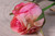 Small Rose Bud Pink