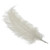 White Ostrich Feathers (5 Pack)