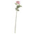 72cm Single Olivia Rose Antique Pink