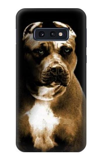 S0520 PitBull Hülle Schutzhülle Taschen für Samsung Galaxy S10e