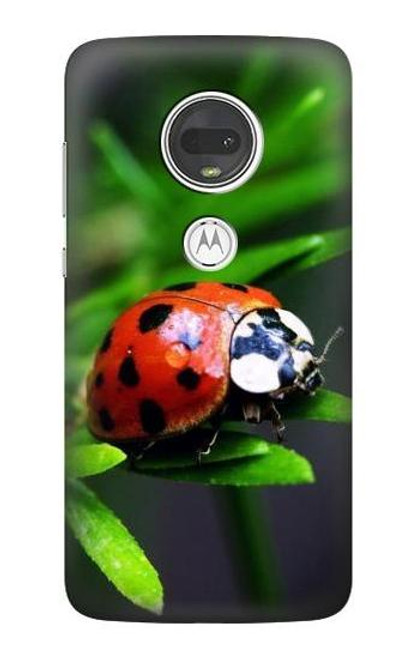 S0263 Ladybug Hülle Schutzhülle Taschen für Motorola Moto G7, Moto G7 Plus