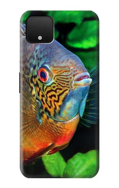 S1812 Cichlid Fish Hülle Schutzhülle Taschen für Google Pixel 4
