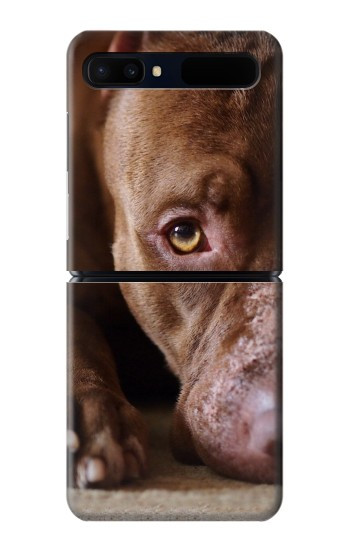 S0519 PitBull Face Hülle Schutzhülle Taschen für Samsung Galaxy Z Flip 5G