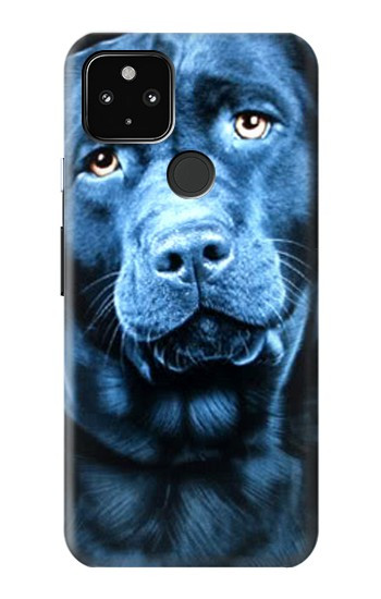 S0750 Labrador Retriever Hülle Schutzhülle Taschen für Google Pixel 4a 5G