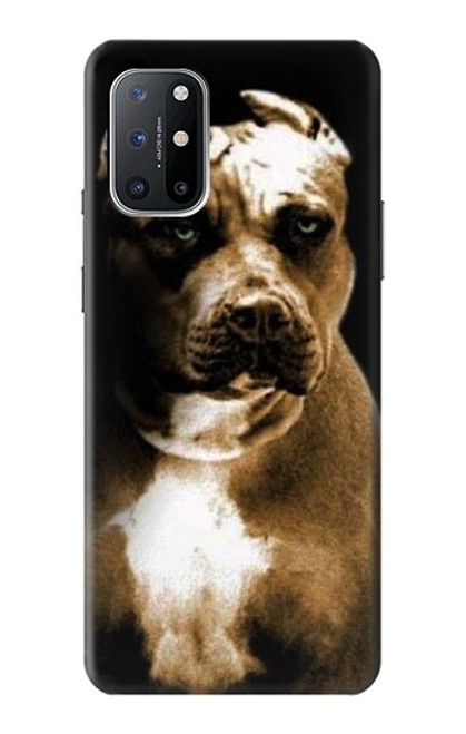 S0520 PitBull Hülle Schutzhülle Taschen für OnePlus 8T