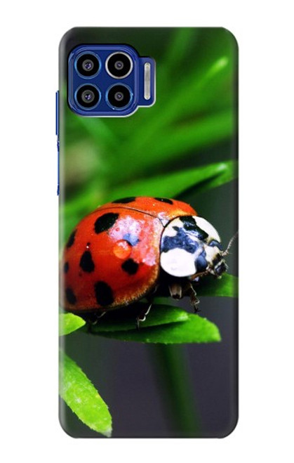 S0263 Ladybug Hülle Schutzhülle Taschen für Motorola One 5G