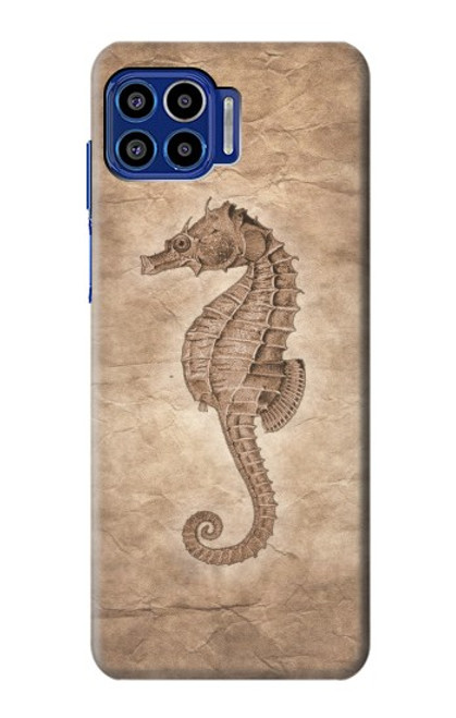S3214 Seahorse Skeleton Fossil Hülle Schutzhülle Taschen für Motorola One 5G