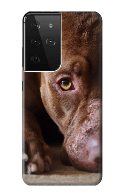S0519 PitBull Face Hülle Schutzhülle Taschen für Samsung Galaxy S21 Ultra 5G