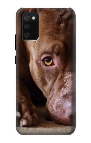 S0519 PitBull Face Hülle Schutzhülle Taschen für Samsung Galaxy A02s, Galaxy M02s