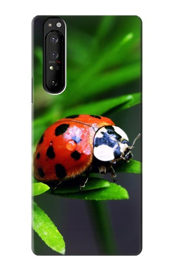S0263 Ladybug Hülle Schutzhülle Taschen für Sony Xperia 1 III