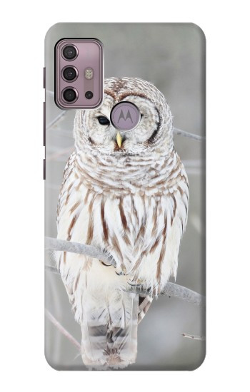 S1566 Snowy Owl White Owl Hülle Schutzhülle Taschen für Motorola Moto G30, G20, G10