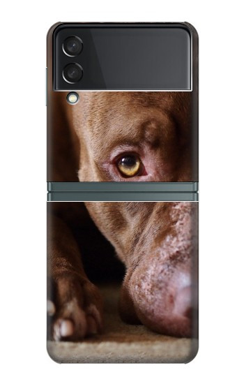 S0519 PitBull Face Case For Samsung Galaxy Z Flip 3 5G