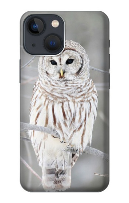 S1566 Snowy Owl White Owl Hülle Schutzhülle Taschen für iPhone 13 mini