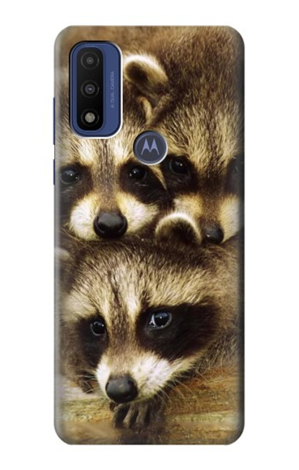 S0977 Baby Raccoons Hülle Schutzhülle Taschen für Motorola G Pure