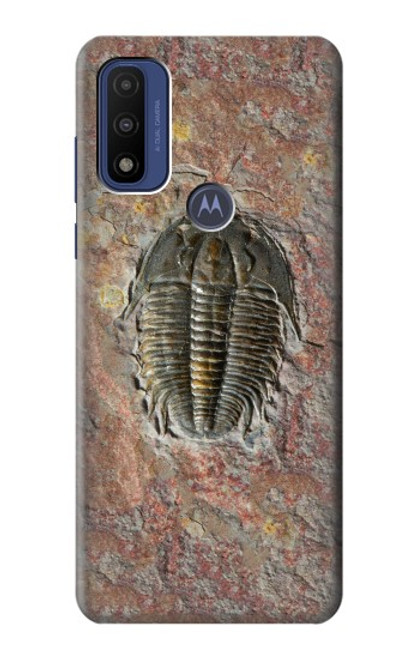 S1454 Trilobite Fossil Hülle Schutzhülle Taschen für Motorola G Pure